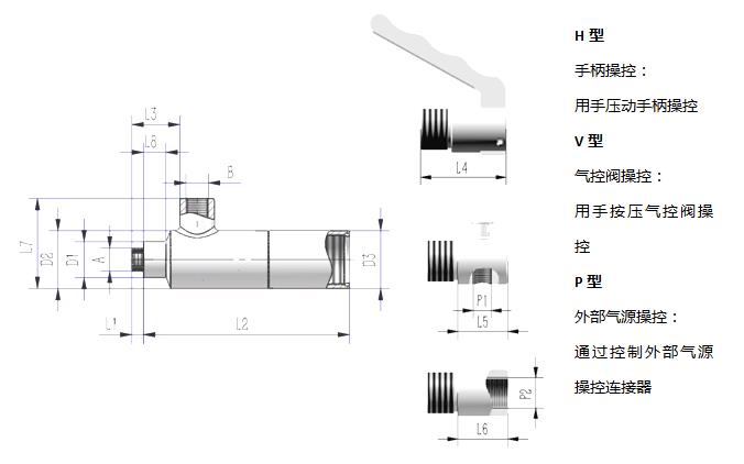 壓把內(nèi)螺紋式快速密封接頭1.jpg